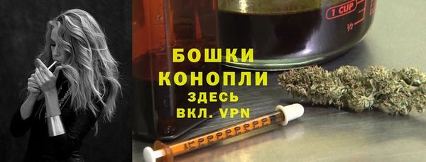 прущие грибы Волосово