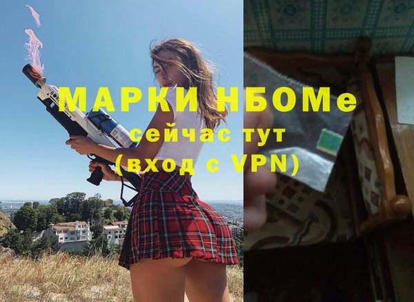 мдпв Верея