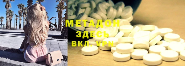 прущие грибы Волосово